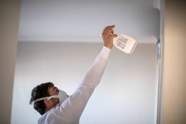 Best Emergency Mold Remediation in Clark, SD