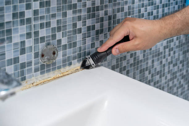 Best Basement Mold Remediation in Clark, SD